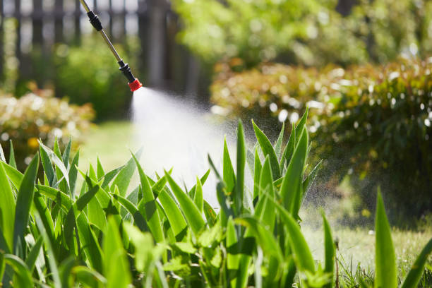 24/7 Emergency Mosquito Control experts in Ville Platte, LA